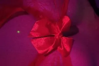First fime in town 🥰 Limited T... - Image 3