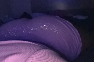 "Come Fuck Me Daddy On This Go... - Image 1