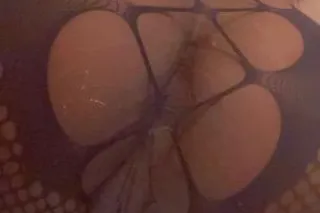 generous men only - 25 - Image 1