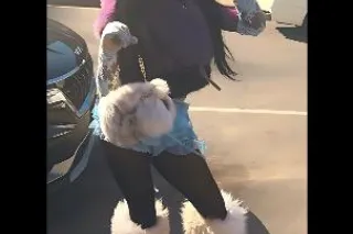 serious men only DO NOT CONTACT ME IF U CANNOT FACE TIME VERIFY ON APPLE NO WHATS APP - Image 12