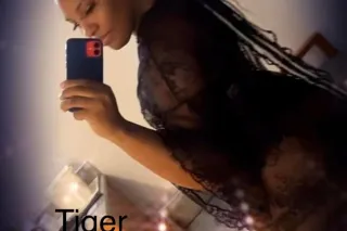 TIGER SUPER WET HEAD - 31 - Image 2