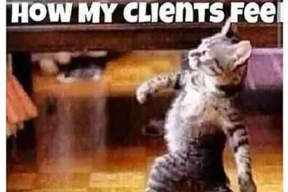 💕EXOTIC BOMBSHELL fresh in tow... - Image 3