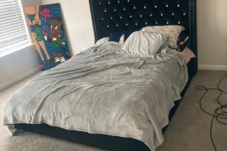 WARNER ROBINS TIL FRIDAY BE READY YAWL - Image 4