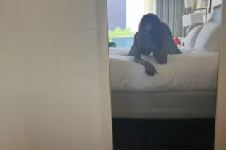 Ready to Please and Satisfy You Now 😝💦💦 Ts Rihanna - Image 9