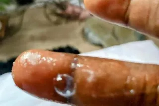 🍑🍑🍑💦💦💦Cum. make. this wet. pus... - Image 2