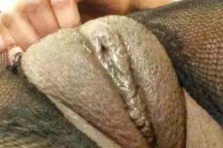 EXOTIC SHIT ❤️💋💦 - Image 4