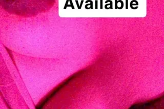 WET PUSSY BEST BJ 💋 - 26 - Image 1