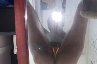 Outcall - 22 - Image 4