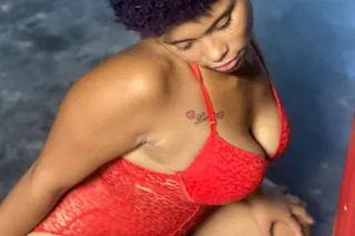 fine - Image 7