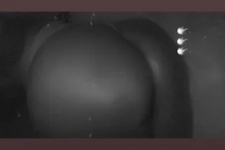 💣💣💣💣💣💣💣💣💣💣💣🥭🥭💣💣💣🥭💣💣💣🥭💣💣🥭🥭💣🥭💣💣💣... - Image 1