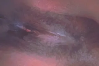 🧡🥳Available Now College park/O... - Image 2