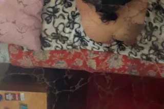SEXY NEW LATINA MAMII FIRST TIME IN TOWN !!!CALL ME!! BOOK ME BABY!!! - Image 9