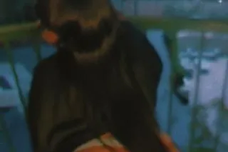 short&curvy - Image 5