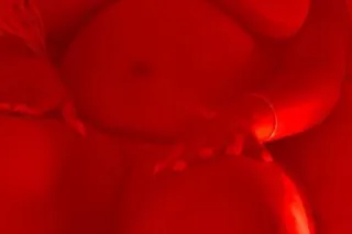 🥰 Looking For Regulars Only ⚡N... - Image 2