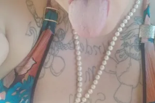 INCALL HOLBROOK YOU ALREADY TR... - Image 3