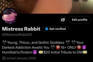 🚨ATTENTION SUBMISSIVES & PAYPIGS ONLY🚨Be Dominated, Drained & Humiliated by Mistress Rabbit *READ BIO* - Image 6