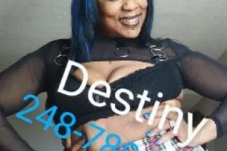 Let's Play House... Where's My... - Image 4