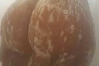 SEXY CHOCOLATE🤎🤎INCALL - Image 1