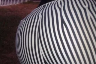 THICK BBW BLACK STALLION READY... - Image 4