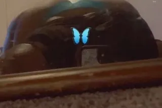 💦🫠🍫BEST BBW IM YALL CITY💦🫠🍫 - ... - Image 3