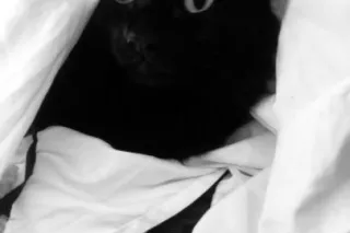 ! ♥♥♥ DAILY MOUTH WATERING COC... - Image 2