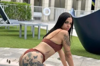 Your favorite distraction - Image 2