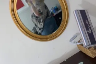 140 20 mins bbj & pussy w condom - Image 6