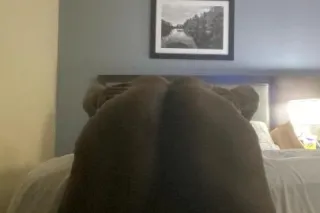 car fun only - 41 - Image 4