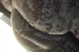 $80 QVS ! OUTCALLS & CAR DATES... - Image 1