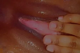 New Here .Cum Dive In This Pud... - Image 3