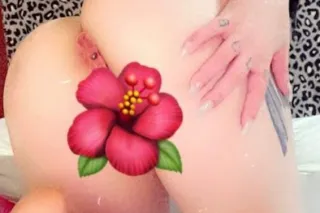 💕 Minnesota - Guess whose back... - Image 2