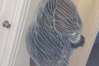 sexy choclate bbw - Image 5