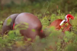 🤪HEAD DOCTORR🥼🍑bb /bbj ThrowItBack✨💦🚫NO BS INCALL /OUTCALL - Image 5