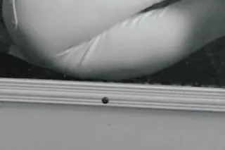 HI LOVE - 50 - Image 3