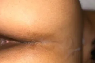 UPSCALE EXOTIC Professional Fr... - Image 1