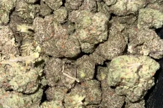 Gas On Deck⛽🍃 - 25 - Image 3