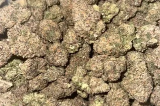 Gas On Deck⛽🍃 - 25 - Image 4