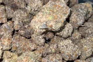 Gas On Deck⛽🍃 - 25 - Image 1