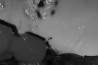 wet wet💦💦 - 22 - Image 1