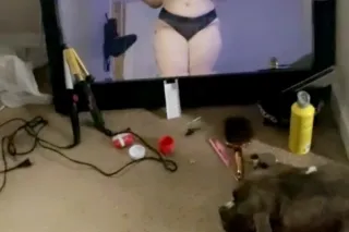 Your love awaits - Image 8