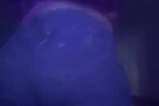 Your love awaits - Image 9