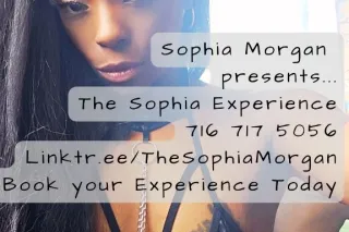 💎The Sophia Morgan Experience - Outcall Only - Travel Fee Deposit Required to Book💎 - Image 9