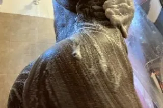 Jus as horny as you ... - 21 - Image 2