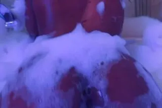 Juicy Sexy Dominican girl inca... - Image 4