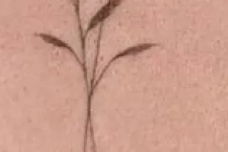 😱😻🤞Whos ready to have thier mind blown😘😍🤫 - Image 3