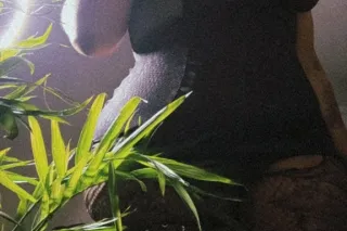 Let’s 🐝 Naughty your fav bbw b... - Image 3