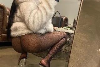 Upscale petite🍭 Bubbly Brown Bombshell💦 🤎✨🏆 Incall/outcall - Image 5