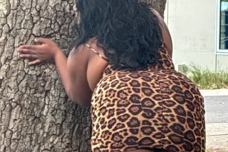 New Orleans Feitsh queen cum t... - Image 1