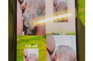 Available Right Now - Image 7