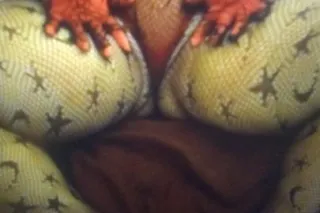 50qv, 80 hh(Full service)130hr full service ) incall only ready to make all your fantasy's and desires - Image 8